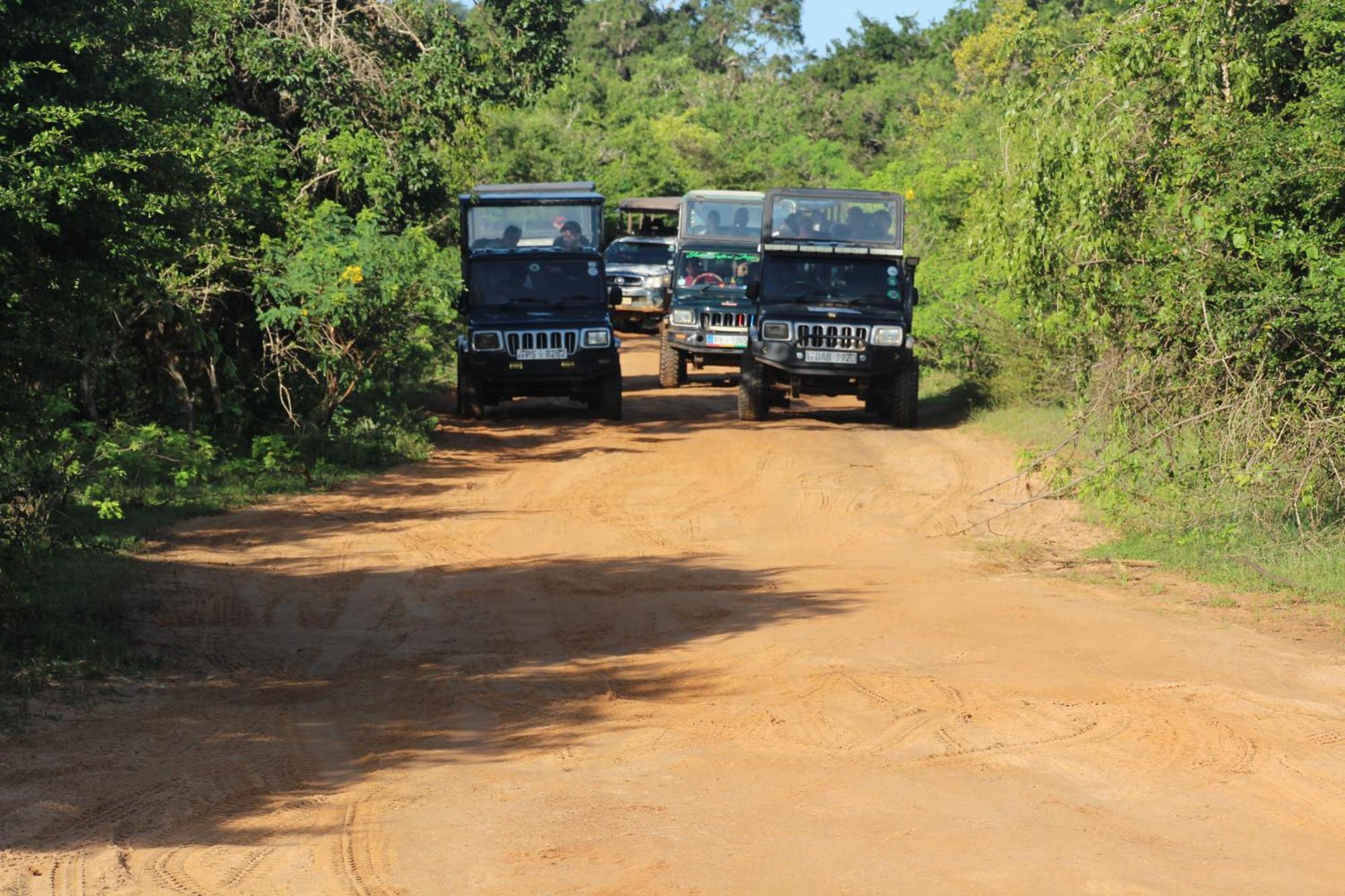 Udara Guest - Yala Safari Villa Eksteriør billede